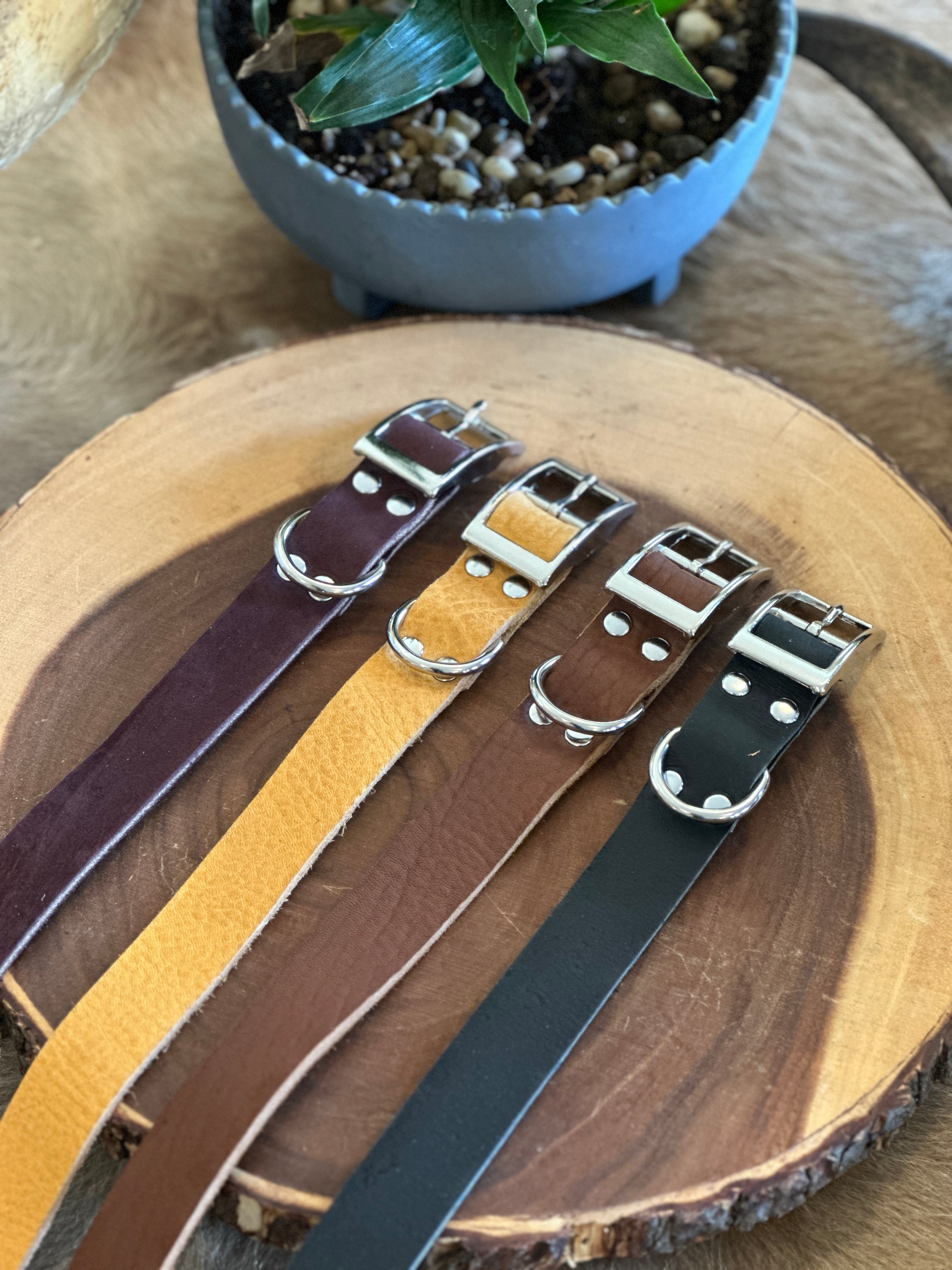 Handmade Leather Dog Collar XL – White Oak Pastures