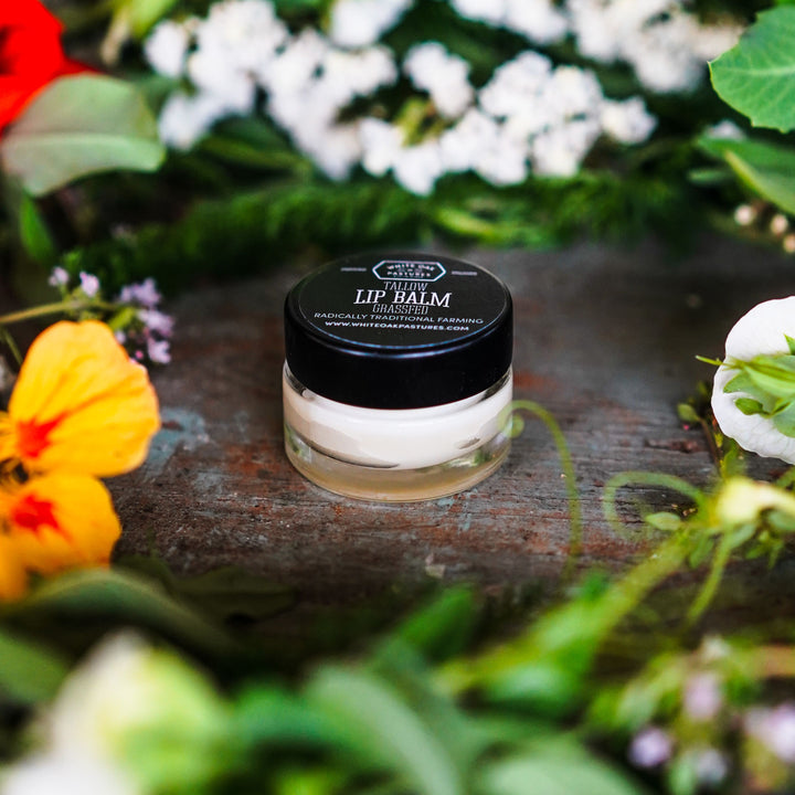 Tallow Lip Balm - Glass
