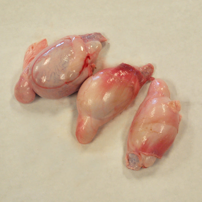 Grassfed Lamb Testicles