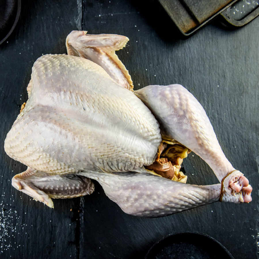 Pastured Chicken & Poultry – White Oak Pastures