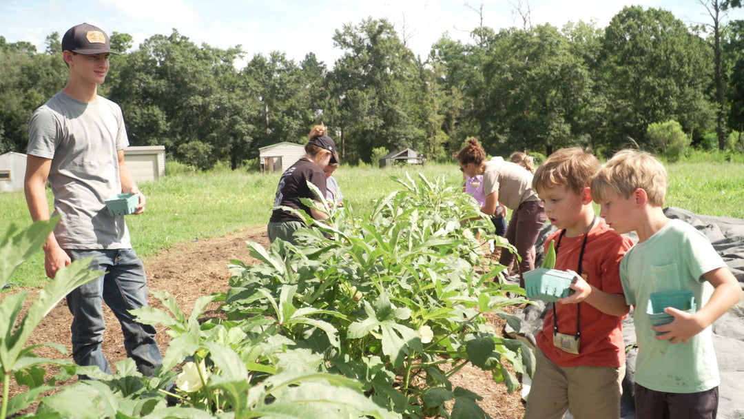 Farm to Fermentation Day Camp