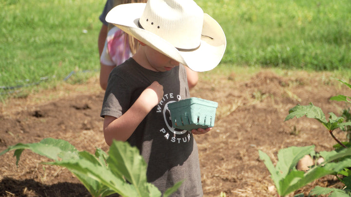 Farm to Fermentation Day Camp