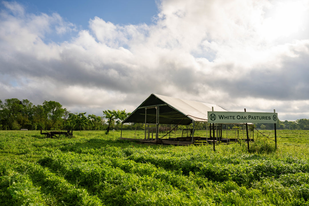 Homeschool Enrichment: Pastured Rabbits