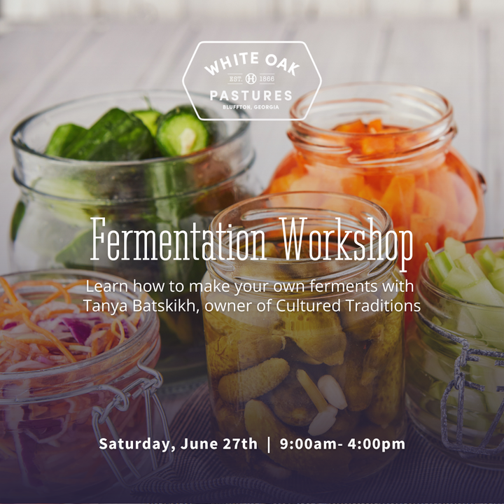 Introduction to Fermentation
