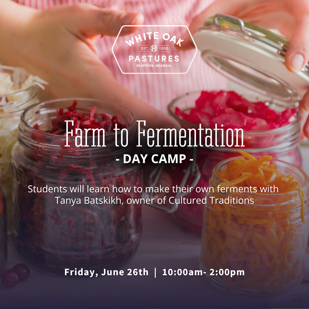 Farm to Fermentation Day Camp