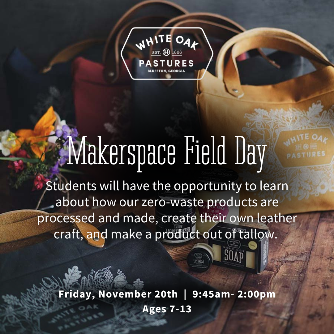 Makerspace Field Day