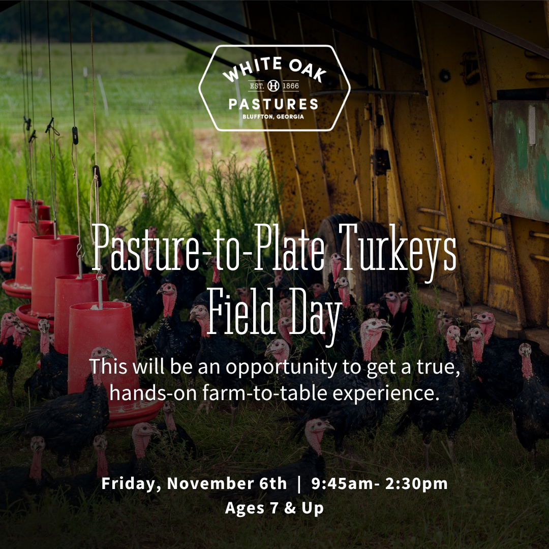 Pasture-to-Plate Turkeys Field Day