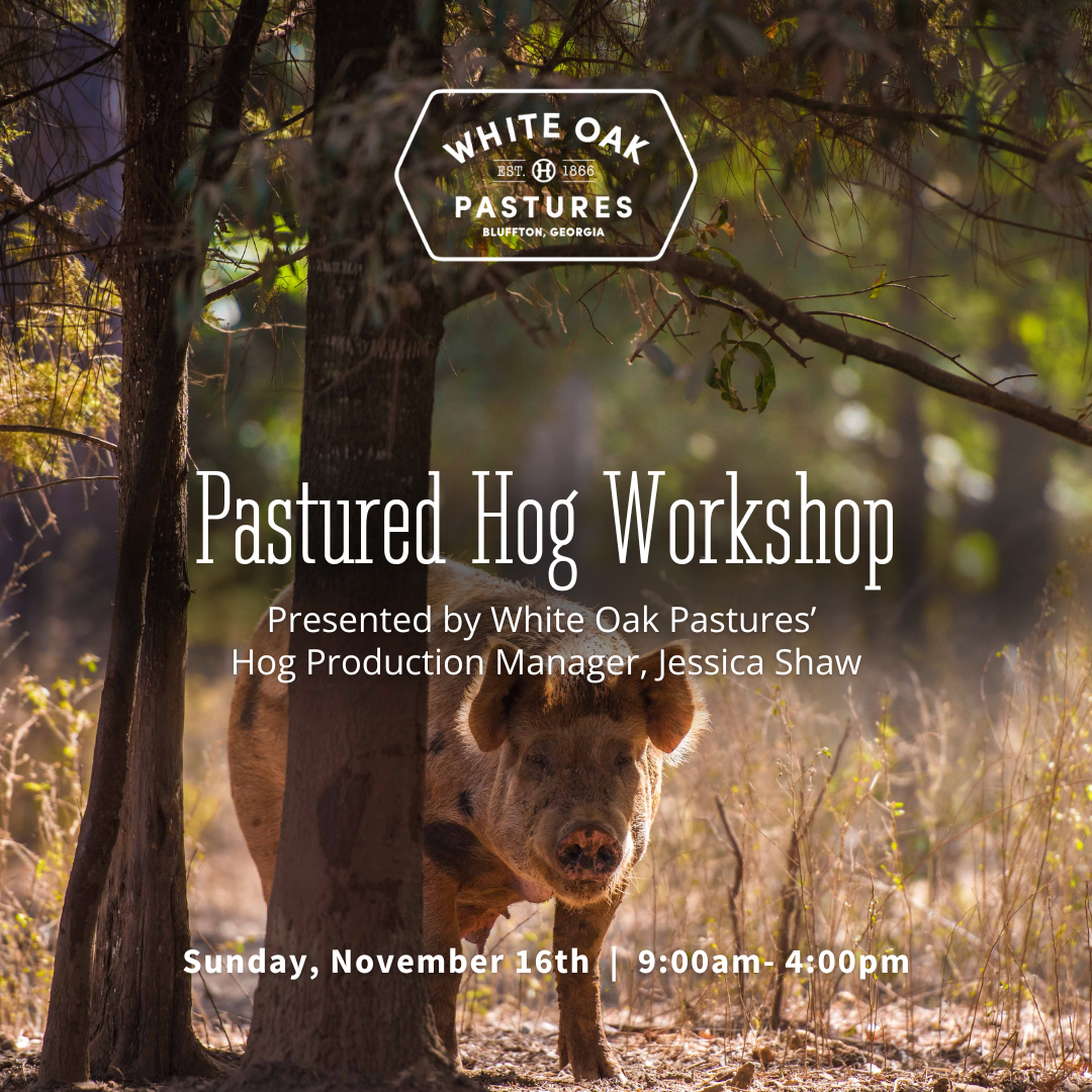 Pastured Hog Workshop