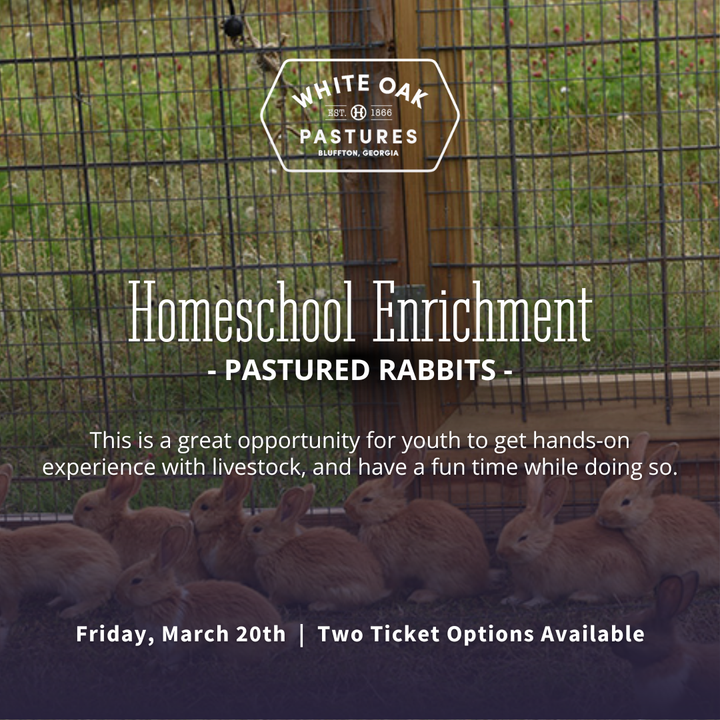 Homeschool Enrichment: Pastured Rabbits