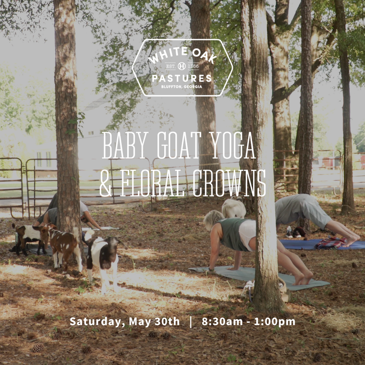 Baby Goat Yoga & Floral Crowns