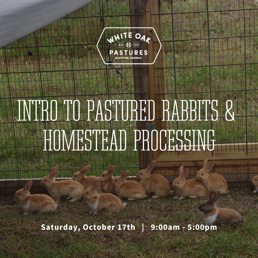 Intro to Pastured Rabbits & Homestead Processing – White Oak Pastures