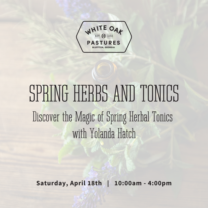 Spring Herbal Tonics with Yolanda Hatch
